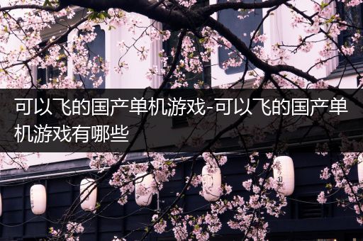 可以飞的国产单机游戏-可以飞的国产单机游戏有哪些