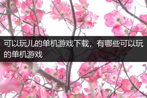 可以玩儿的单机游戏下载，有哪些可以玩的单机游戏