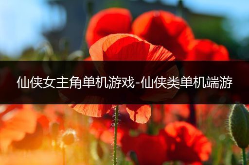仙侠女主角单机游戏-仙侠类单机端游