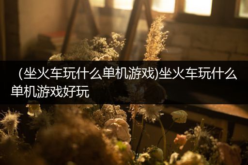（坐火车玩什么单机游戏)坐火车玩什么单机游戏好玩