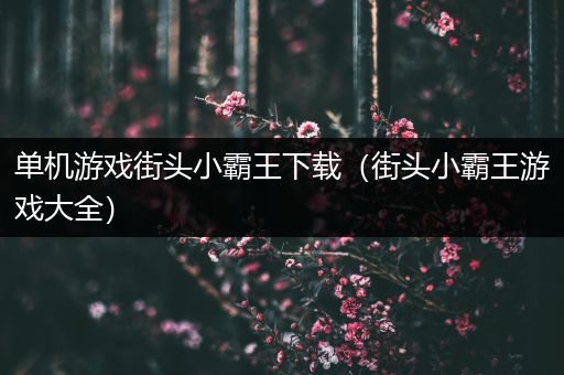 单机游戏街头小霸王下载（街头小霸王游戏大全）