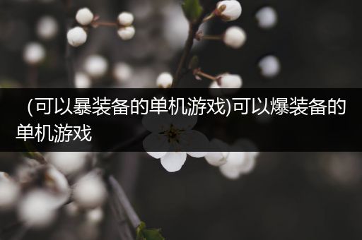 （可以暴装备的单机游戏)可以爆装备的单机游戏