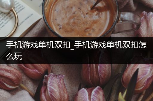 手机游戏单机双扣_手机游戏单机双扣怎么玩