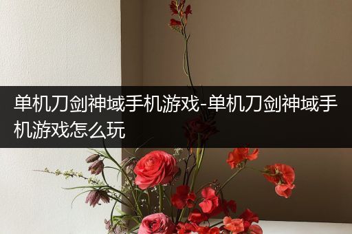 单机刀剑神域手机游戏-单机刀剑神域手机游戏怎么玩