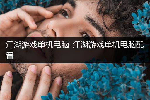 江湖游戏单机电脑-江湖游戏单机电脑配置