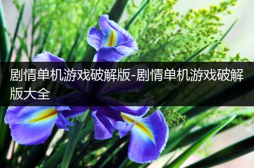 剧情单机游戏破解版-剧情单机游戏破解版大全