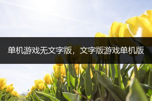 单机游戏无文字版，文字版游戏单机版