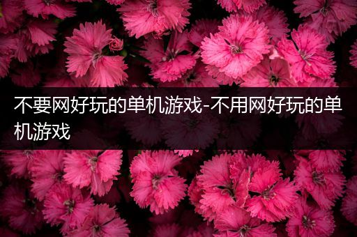 不要网好玩的单机游戏-不用网好玩的单机游戏