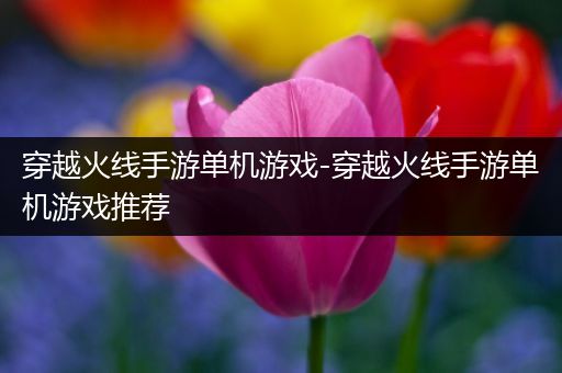 穿越火线手游单机游戏-穿越火线手游单机游戏推荐