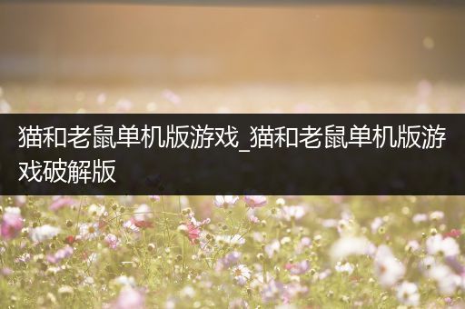猫和老鼠单机版游戏_猫和老鼠单机版游戏破解版