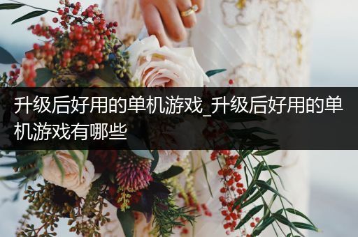 升级后好用的单机游戏_升级后好用的单机游戏有哪些