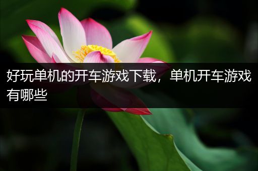 好玩单机的开车游戏下载，单机开车游戏有哪些