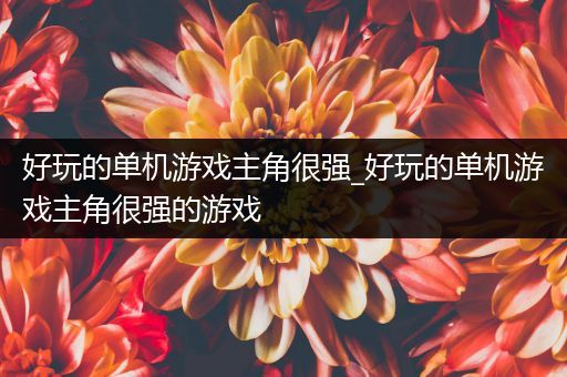 好玩的单机游戏主角很强_好玩的单机游戏主角很强的游戏