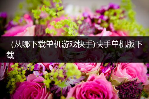 （从哪下载单机游戏快手)快手单机版下载