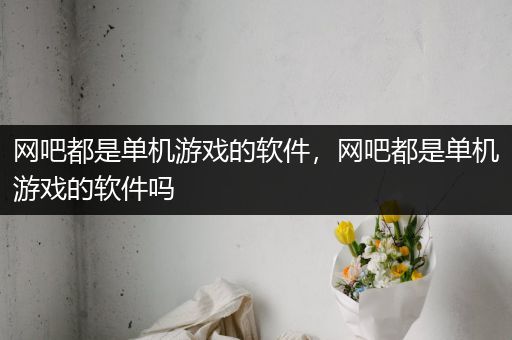 网吧都是单机游戏的软件，网吧都是单机游戏的软件吗