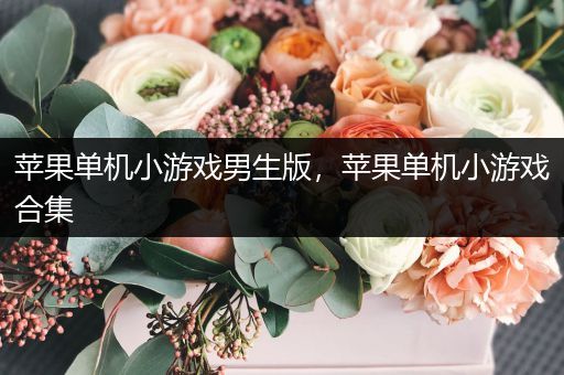 苹果单机小游戏男生版，苹果单机小游戏合集