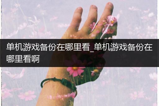 单机游戏备份在哪里看_单机游戏备份在哪里看啊
