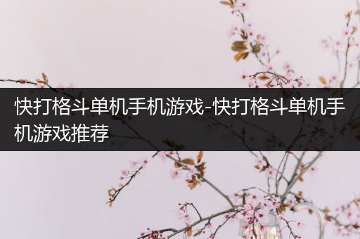 快打格斗单机手机游戏-快打格斗单机手机游戏推荐