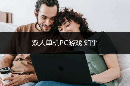 双人单机PC游戏 知乎