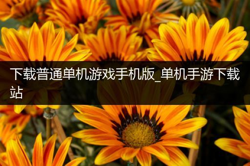 下载普通单机游戏手机版_单机手游下载站