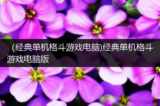 （经典单机格斗游戏电脑)经典单机格斗游戏电脑版