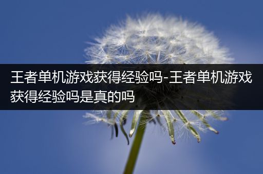 王者单机游戏获得经验吗-王者单机游戏获得经验吗是真的吗