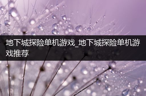 地下城探险单机游戏_地下城探险单机游戏推荐