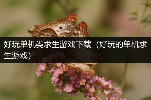 好玩单机类求生游戏下载（好玩的单机求生游戏）