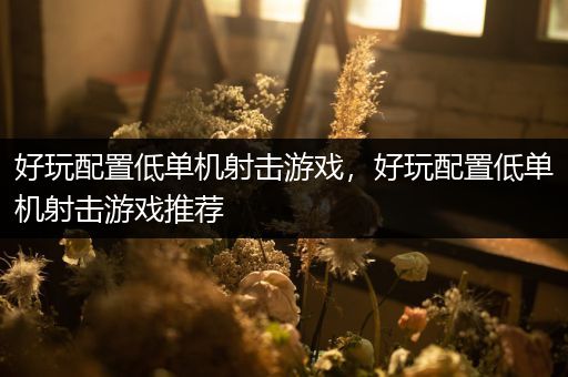 好玩配置低单机射击游戏，好玩配置低单机射击游戏推荐