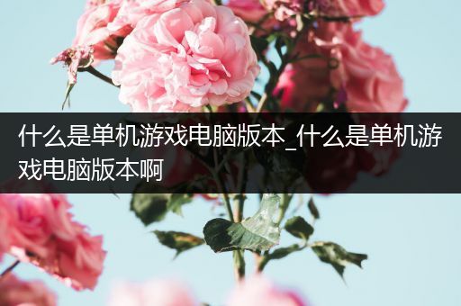 什么是单机游戏电脑版本_什么是单机游戏电脑版本啊