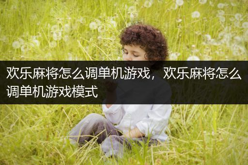欢乐麻将怎么调单机游戏，欢乐麻将怎么调单机游戏模式