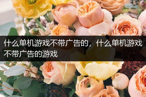 什么单机游戏不带广告的，什么单机游戏不带广告的游戏
