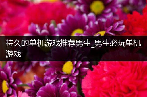 持久的单机游戏推荐男生_男生必玩单机游戏