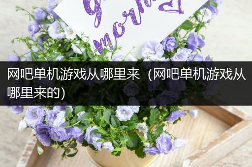 网吧单机游戏从哪里来（网吧单机游戏从哪里来的）