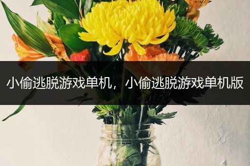 小偷逃脱游戏单机，小偷逃脱游戏单机版