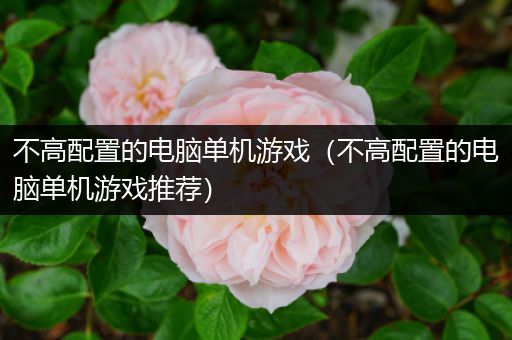 不高配置的电脑单机游戏（不高配置的电脑单机游戏推荐）