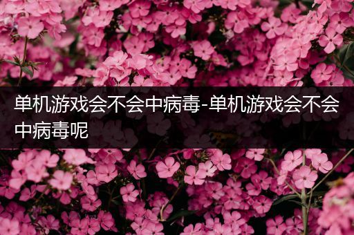 单机游戏会不会中病毒-单机游戏会不会中病毒呢