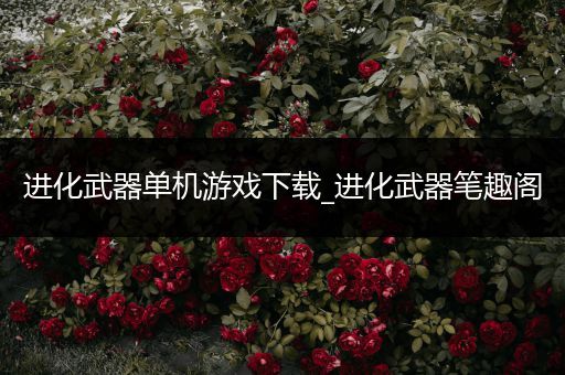 进化武器单机游戏下载_进化武器笔趣阁