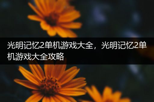 光明记忆2单机游戏大全，光明记忆2单机游戏大全攻略
