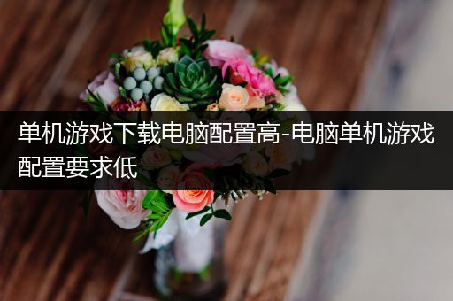 单机游戏下载电脑配置高-电脑单机游戏配置要求低