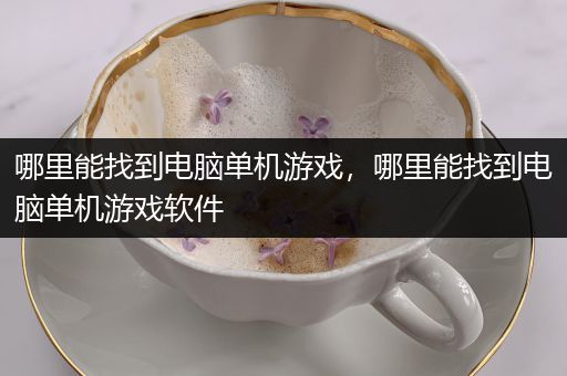 哪里能找到电脑单机游戏，哪里能找到电脑单机游戏软件