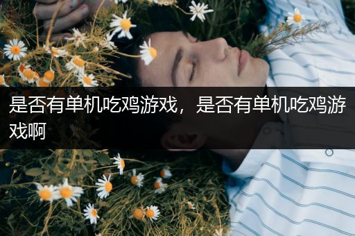 是否有单机吃鸡游戏，是否有单机吃鸡游戏啊