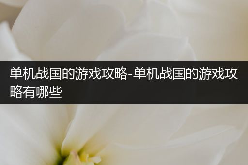 单机战国的游戏攻略-单机战国的游戏攻略有哪些