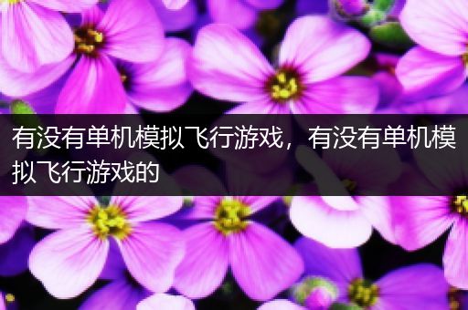有没有单机模拟飞行游戏，有没有单机模拟飞行游戏的