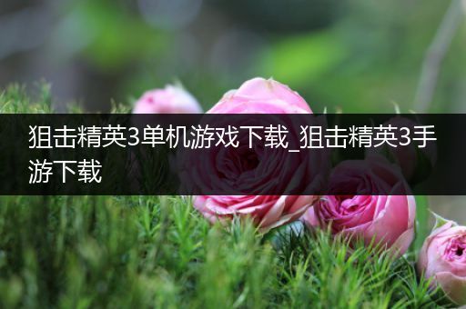 狙击精英3单机游戏下载_狙击精英3手游下载