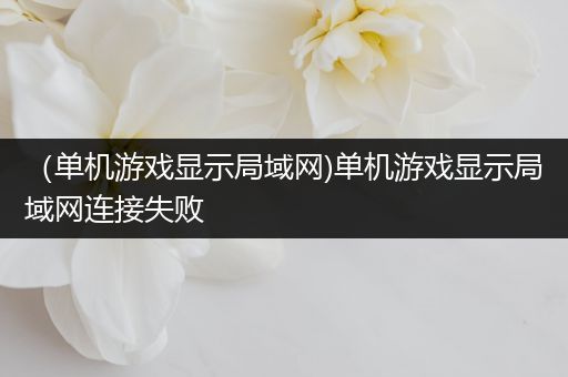（单机游戏显示局域网)单机游戏显示局域网连接失败