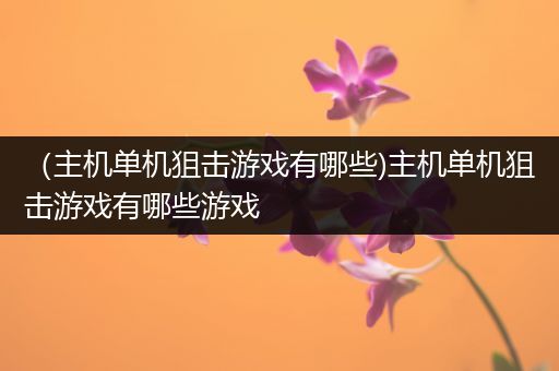（主机单机狙击游戏有哪些)主机单机狙击游戏有哪些游戏
