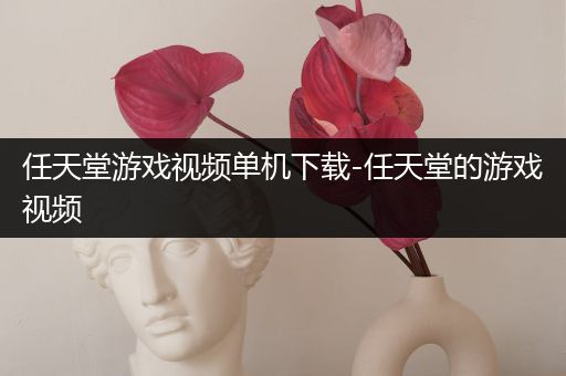 任天堂游戏视频单机下载-任天堂的游戏视频