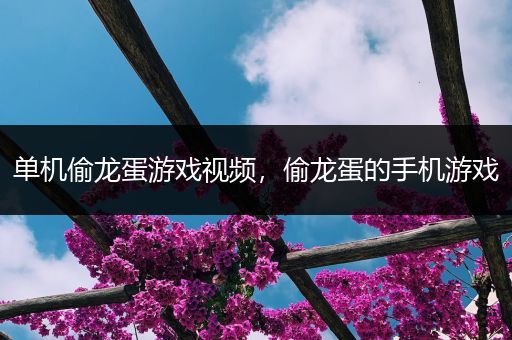 单机偷龙蛋游戏视频，偷龙蛋的手机游戏