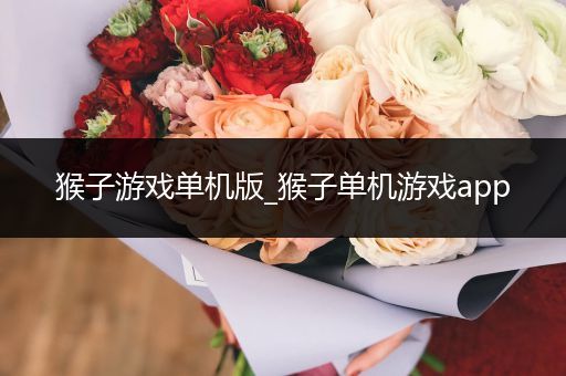 猴子游戏单机版_猴子单机游戏app